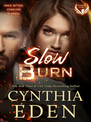cover image of Slow Burn